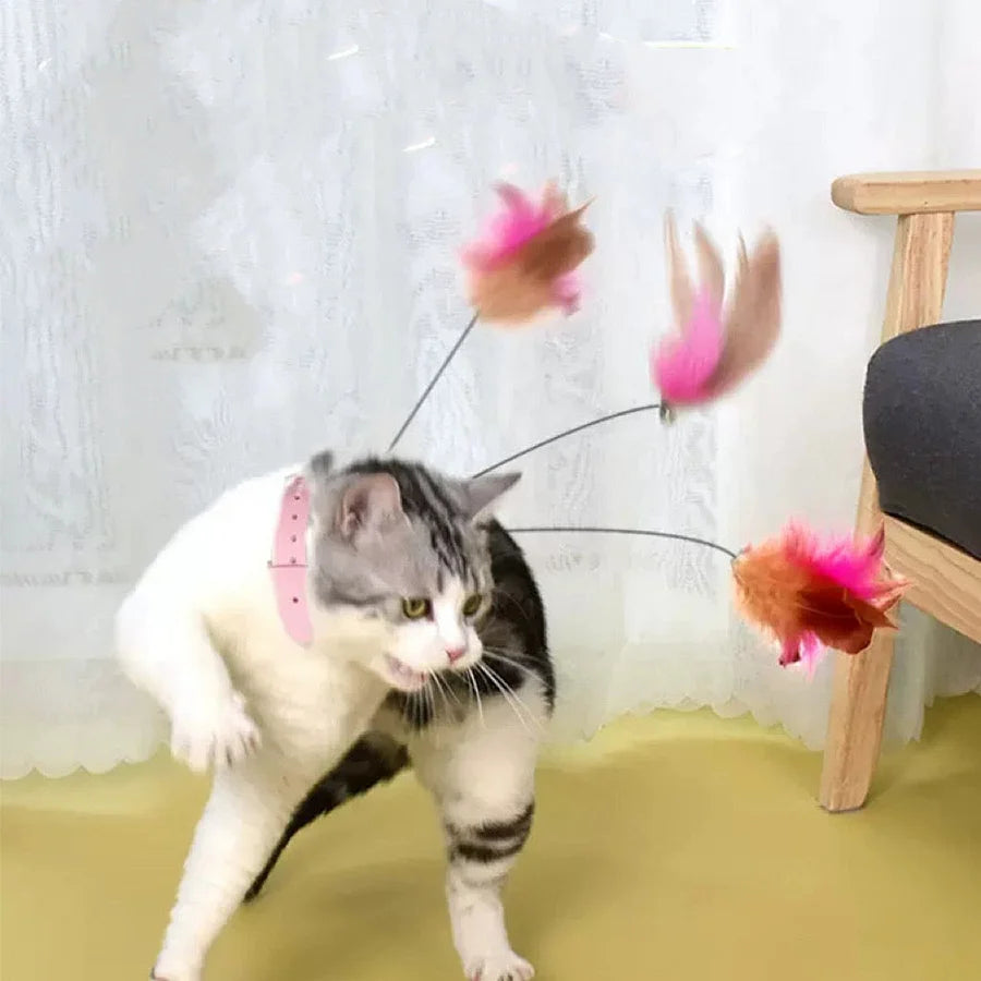 Cat collar wand Toy with feather 🪶