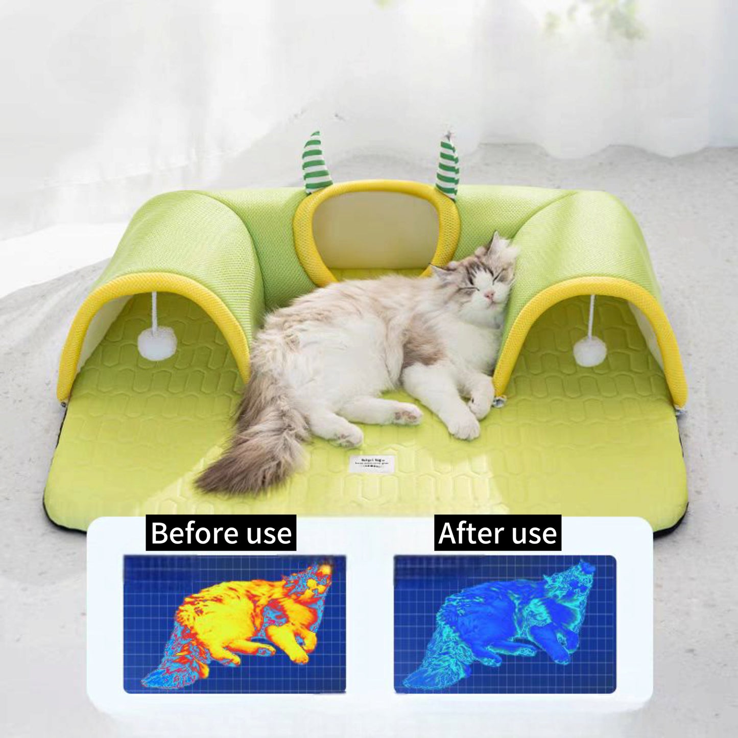 Cat tunnel bed