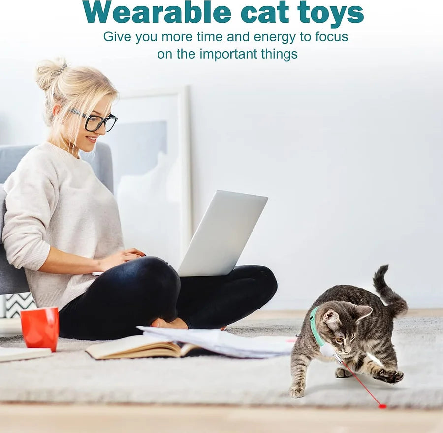 Cat toy with LED light